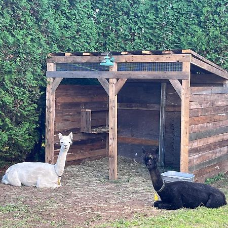 Gite - La Ruee Vers L'Orge Trois-Rivières Exterior foto