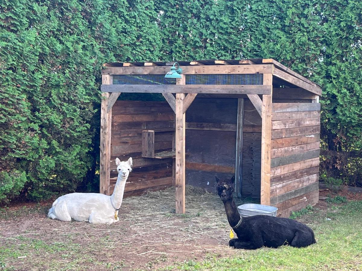 Gite - La Ruee Vers L'Orge Trois-Rivières Exterior foto