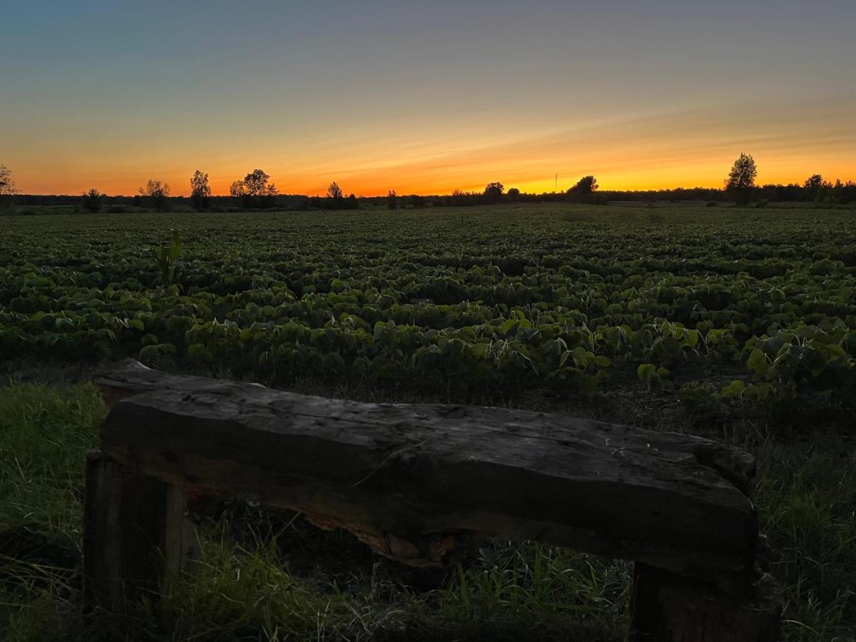 Gite - La Ruee Vers L'Orge Trois-Rivières Exterior foto
